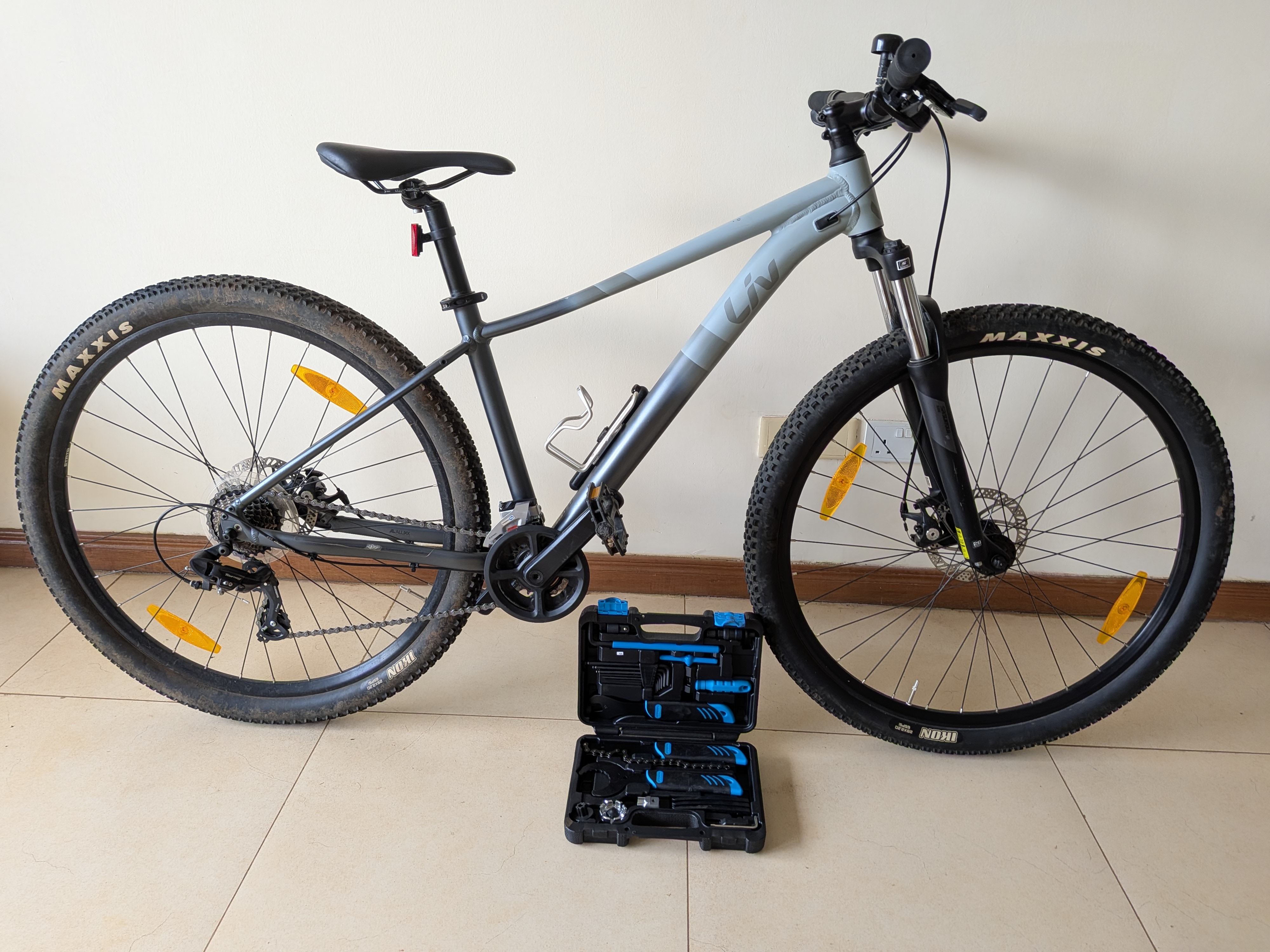 Liv Tempt Bicycle